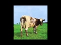 Pink Floyd - Alan's Psychedelic Breakfast