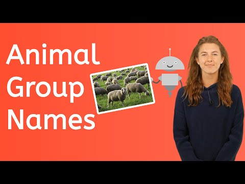 How to Name Animal Groups
