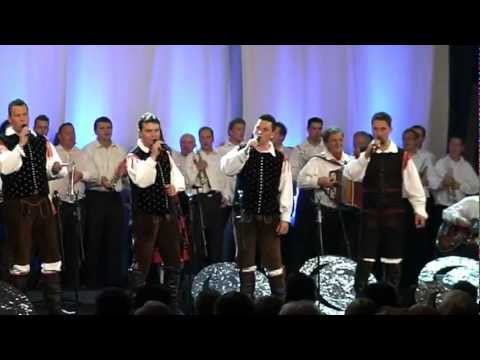 Modrijani & Vrt & Tine Lesjak in trobentarji-Tu smo doma (v živo)