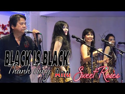 BLACK IS BLACK | THANH TUNG & SWEET ROSES | OLDIES BUT GOODIES | 50's 60's 70's | 🔥🔥 🔥 HOT 🔥🔥🔥