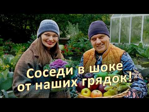 Не копайте огород осенью! Вот что нужно сделать вместо этого