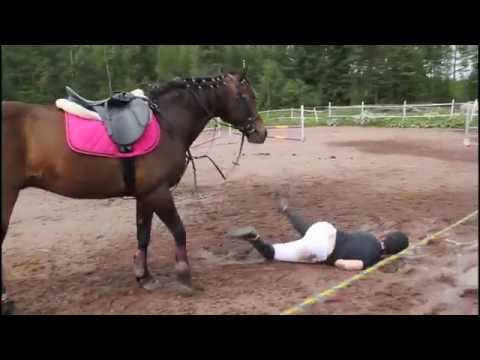 , title : 'Tippumisia 2 » Horse falls 2'