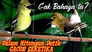 Download lagu SIRTU GACOR!...Dalam sekejap,Sirtu manapun pasti akan ikut Gacor setelah dengar Sirtu ini. mp3