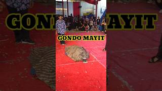 Download lagu Gondo mayit!!! penyembuhan kesurupan #penyembuhan #kesurupan #jaranan mp3 Download lagu Gondo mayit!!! penyembuhan kesurupan #penyembuhan #kesurupan #jaranan mp3