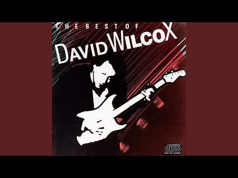 to song Bearcat - David Wilcox