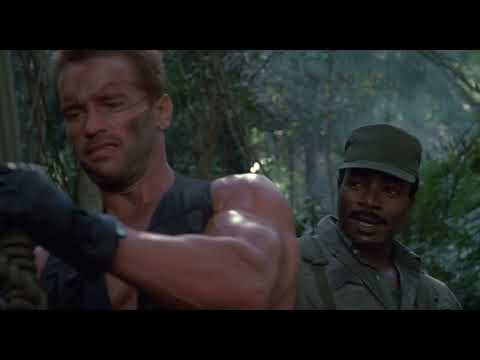 Predator - setting the trap