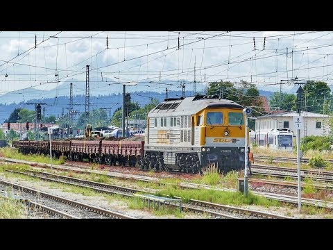 # 1 - Gleisbetterneuerung im Bahnhof Holzkirchen / Oberbayern