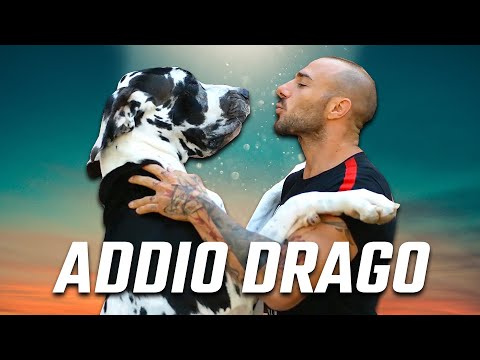 Goodbye DRAGON - A part of Team Commando leaves us 🪦 R.I.P.