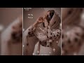 New Female Version Whatsapp Status Love Song Whatsapp Status Trending Status