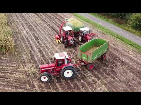 Maishäckseln 2018 IHC edition