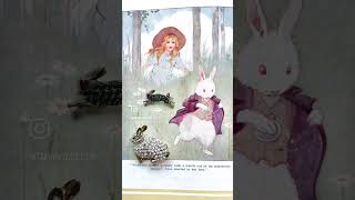 🐇Alice in Wonderland Collection🎩