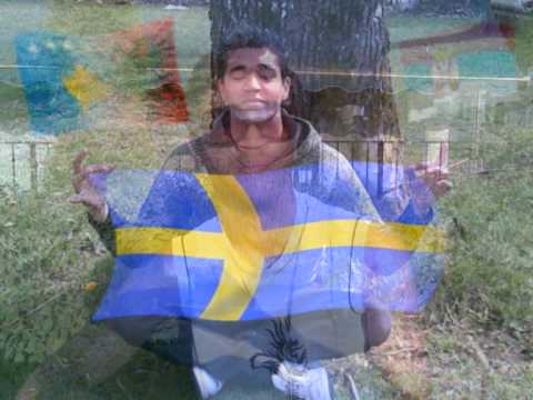 DEMO NGU-PALLAR INTE MER