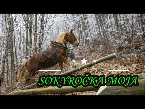 Daniel Piter-Bučko - Sokyročka moja /2021