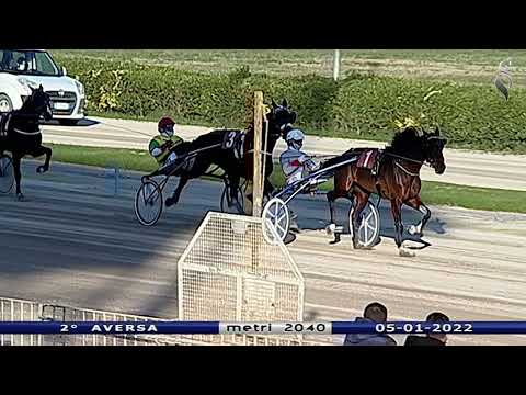 Aversa trotto 5 Gennaio 2022 - 2° Corsa