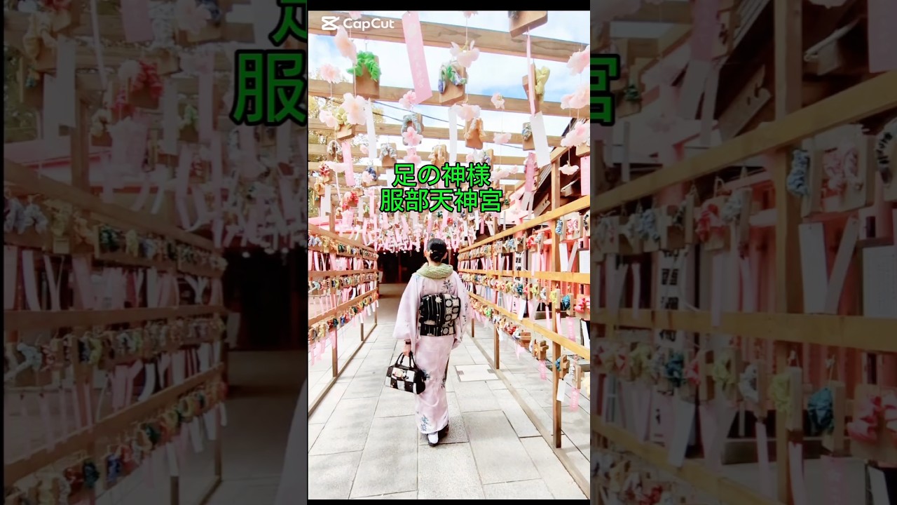 着物で気軽にお出掛け　着付けとお太鼓結びの詳しくは一般動画でどうぞ　 #japan #kimono ＃art＃kituke＃着物＃小紋＃お太鼓の結び方＃着物でお出掛け