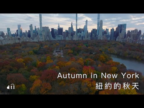 Autumn in New York (紐約的秋天) – Carol Kidd (with Lyrics 中文歌詞) | Jazz / Ballad | DTL | 4K