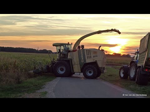 Mais Silage | Nikkels | Krone BiG X 850 + New Holland + Claas | 2018
