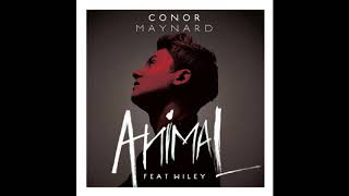 Animal | Conor Maynard  | Audio World
