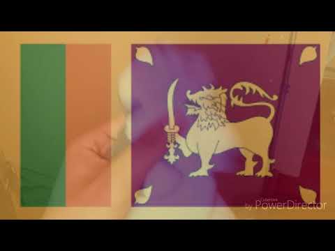 Tom the Hand 2 Tom Returns (2018) Final Battle and Almost Ending Scene Sinhala