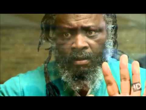 Tina Stewart TV Documentaries