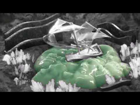 Siles ft. Young Igi - YACHT (Effect Chorus)