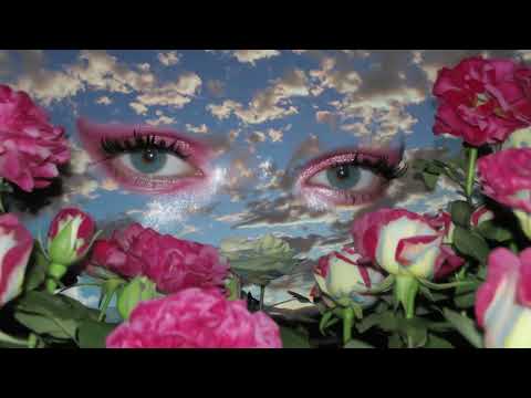 Rose Gray - Lotus (Official Visualiser)