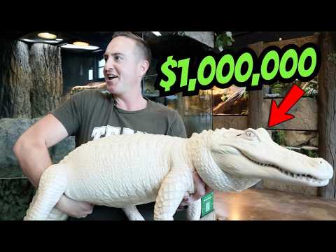 Private Tour of World’s BEST Reptile Zoo!