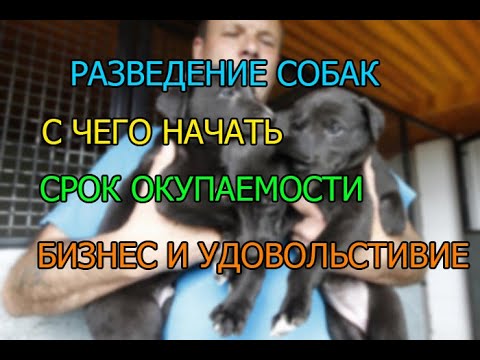 , title : 'РАЗВЕДЕНИЕ СОБАК С ЧЕГО НАЧАТЬ ? СКОЛЬКО МОЖНО ЗАРАБОТАТЬ  БИЗНЕС ИДЕЯ'