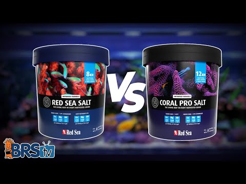 Which Red Sea Salt Is Best for YOUR Reef?