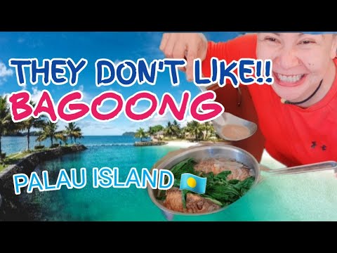 HARVEST AND COOKING WITH FERMENTED FISH IN ISLAND OF PALAU 🇵🇼 #dinengdeng #micronesia..MUST TRY !