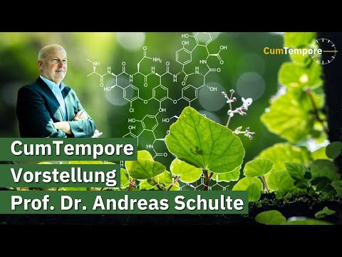 Vorstellung: Wer ist Prof. Dr. Andreas Schulte?