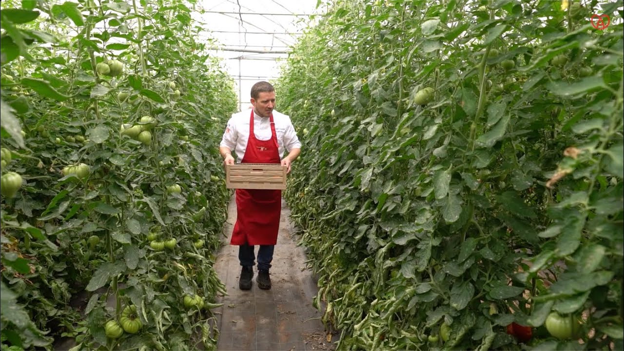 ON NE VOUS DONNERA PAS LA RECETTE #5 : La tomate d&rsquo;Alsace sous toutes ses formes !