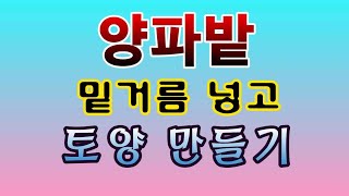 [텃밭농부. 1,253]  월동작물 양파밭의 밑거름 넣고 토양만들기 #양파재배