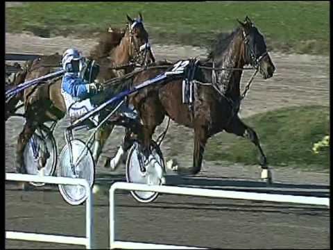 Trotto 29/11/2015 - 1° corsa