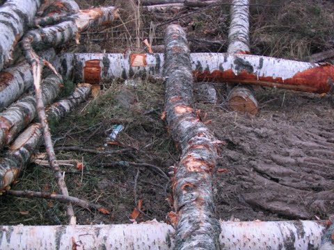 Metsolan Metsäkoulu 109 - Kuinka vertailla puukauppatarjouksia