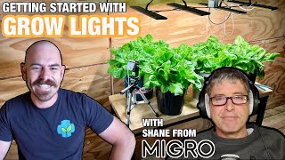 Get Started Growing Indoors with Grow Lights