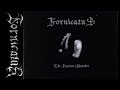 Fornicatus The Suicide Chamber FIN Raw Black DSBM 2008 Full Demo