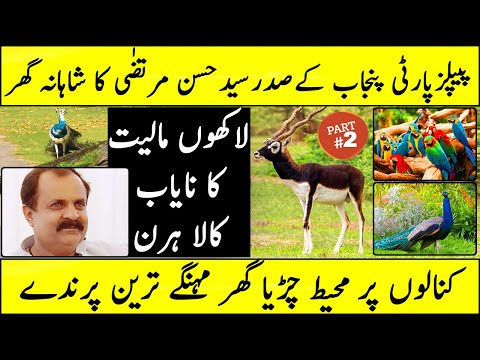 Zoo in Home Hassan Murtaza PPP Most Expensive Animal | Black Deer | Birds | Chiniot | Kala Hiran