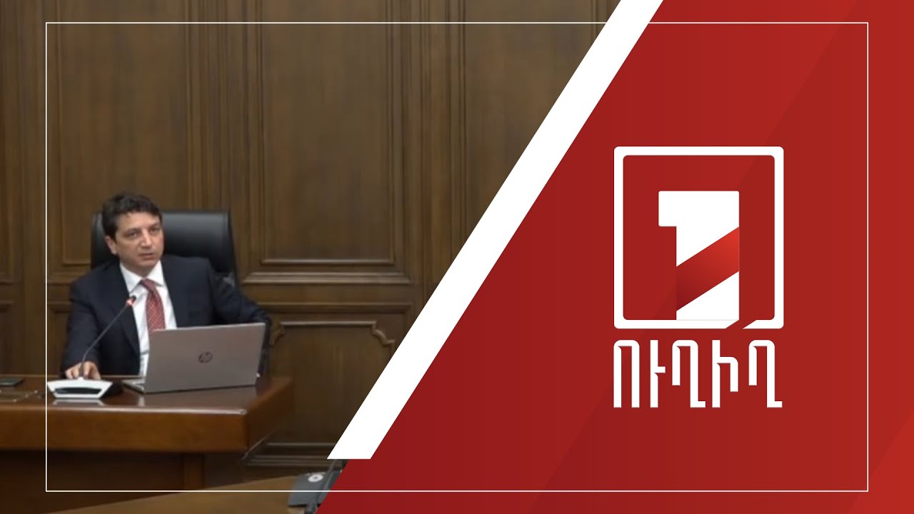 2024-ի բյուջեի կատարողականը՝ ԱԺ մշտական հանձնաժողովների համատեղ նիստում | ՈՒՂԻՂ