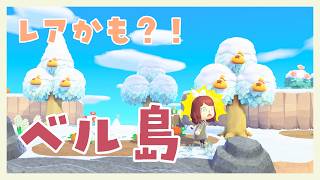 【あつ森】レアかも?!かっぺい離島ツアーベル島【にじさんじ/飛鳥ひな】