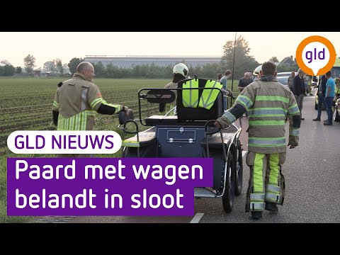 GLD Nieuws 20 mei 2022