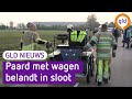 GLD Nieuws 20 mei 2022