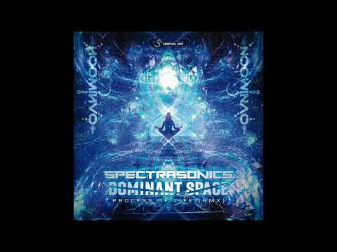 Ovnimoon - Process of Life (Spectra Sonics & Dominant Space Remix)