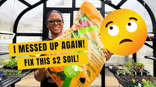 I Bought the WRONG $2 Soil at Lowe’s 😳 Here’s How I Fixed It for Raised Beds!