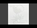 Glóra - Björk - Topic Glóra