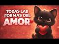 All The Forms Of LOVE ️ Coqui S Valentine S Day Short Film