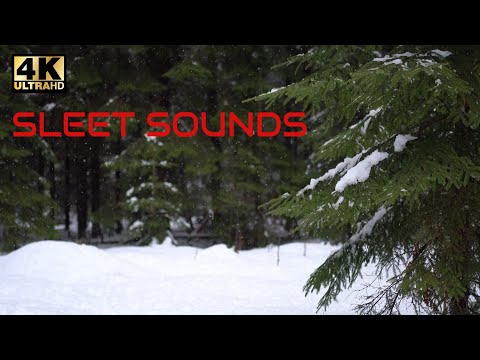 Sleet 💧💧💧- Freezing rain -  Rain Sounds to Sleep - 8 HOURS - Snow & sleet sounds - Nature Sounds  4K