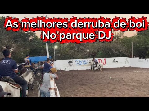 ACOMPANHE OS MELHORES MOMENTOS DA VAQUEJADA NO parque DJ-itarema/CE