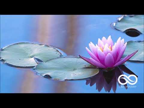 Preethaji's Serene Mind Practice - Audio in Portuguese