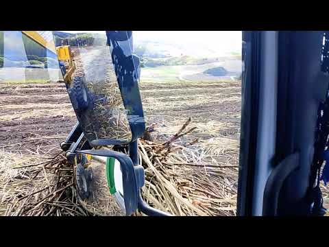 CANAL CICERO PRANCHETA DIRETO DÁ FAZENDA POÇO MESSIAS AL 23 01 26 